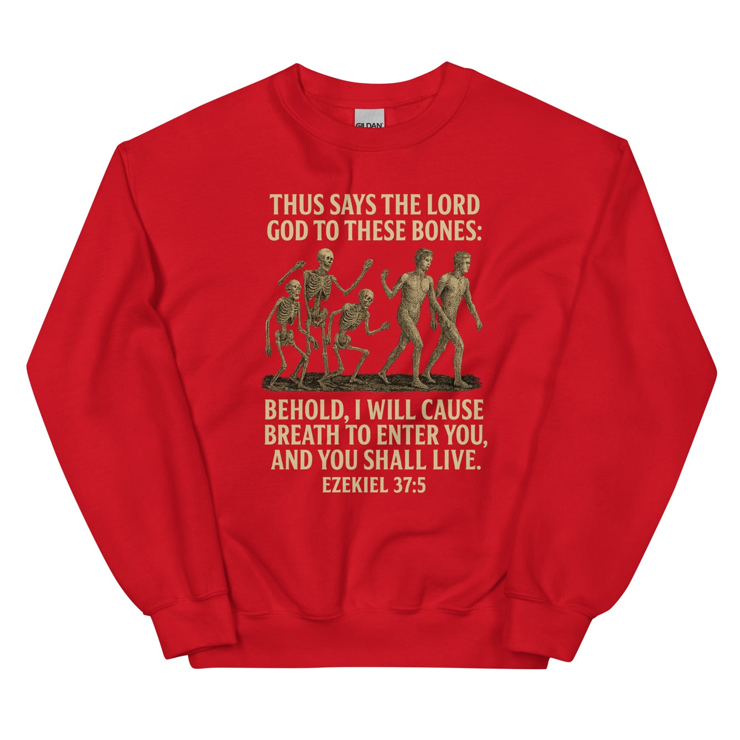 Christian prophecy sweatshirt with Ezekiel 37:5 Dry Bones design