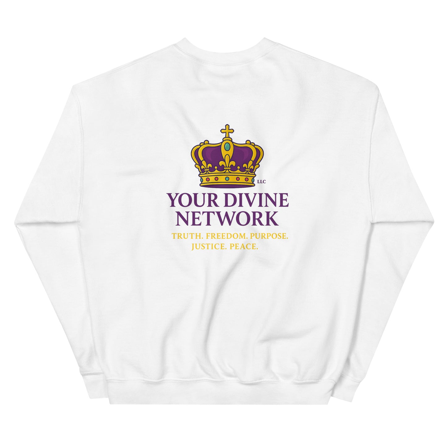 Christian prophecy sweatshirt Daniel 8 vision design – faith apparel