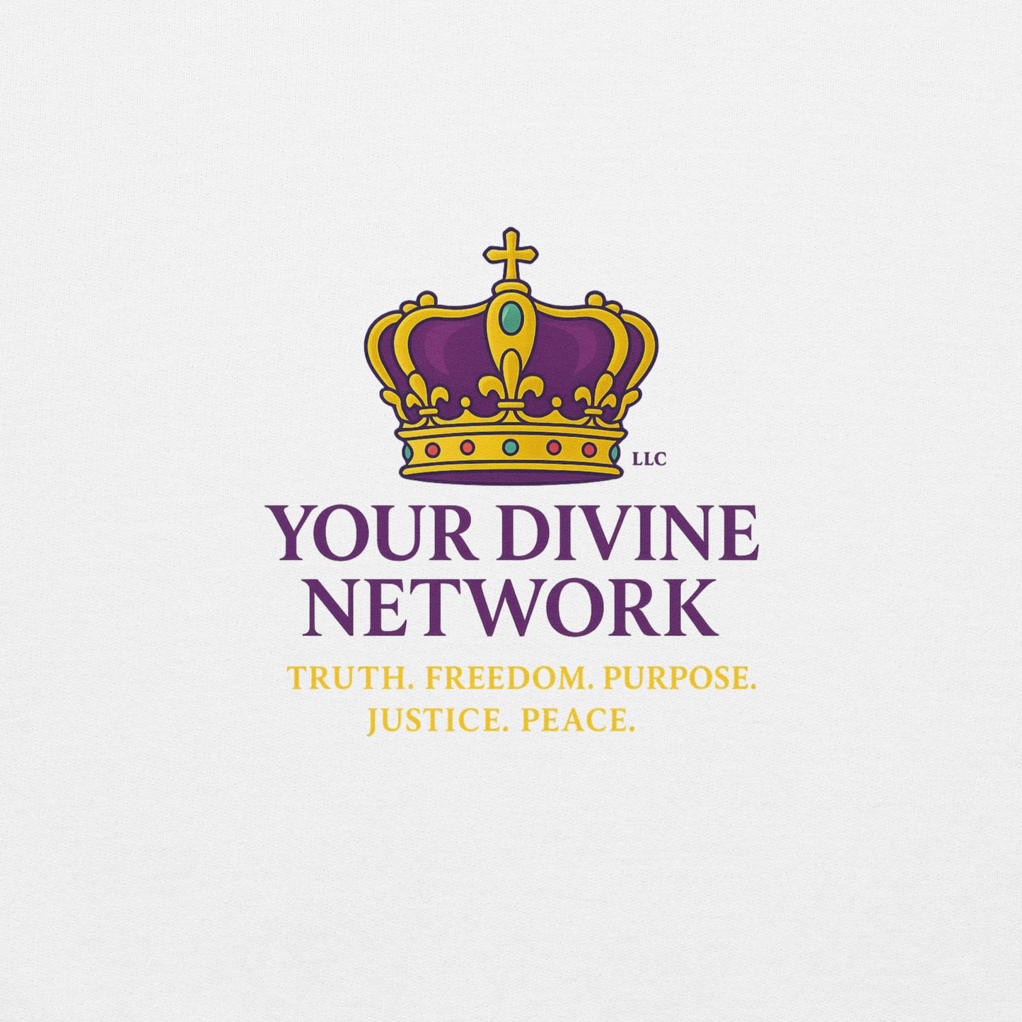 Christian Scripture hoodie – prophetic end times design by Your Divine Network