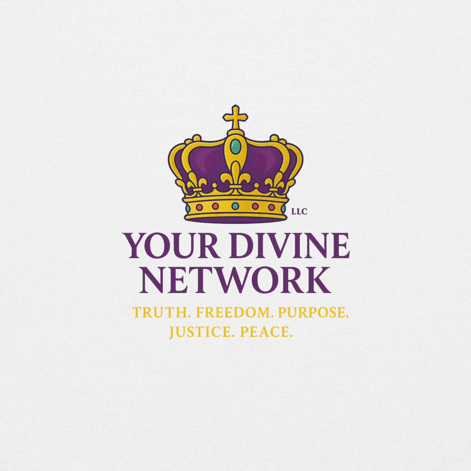 Christian Scripture hoodie – prophetic end times design by Your Divine Network